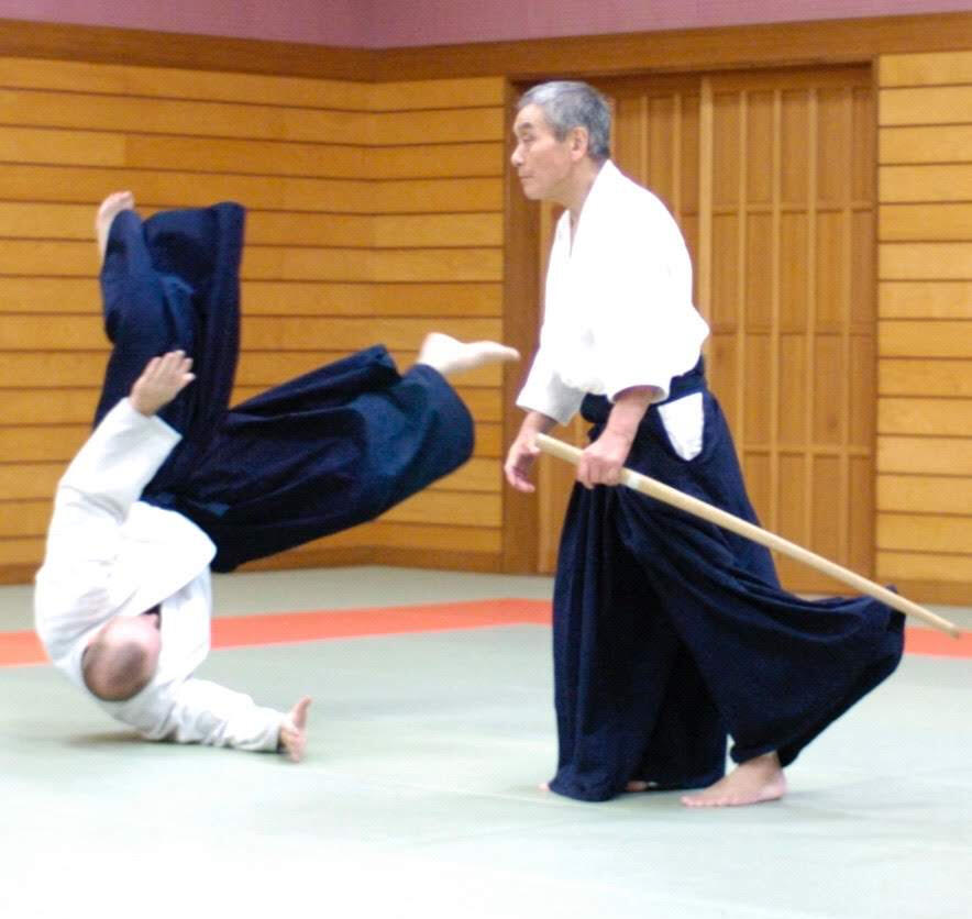 Hiroshi Kato Shihan (8th dan)